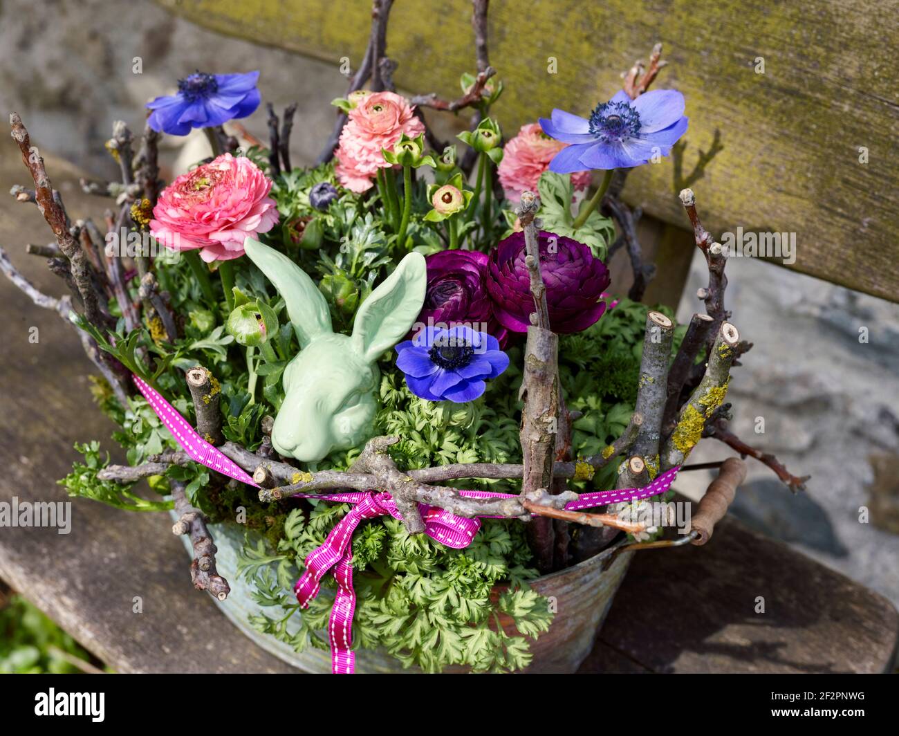 Disposizione di Pasqua in una piccola vasca di stagno su una panca di legno con ranunculus, anemoni blu e un coniglietto di Pasqua color menta, legato con nastro rosa Foto Stock