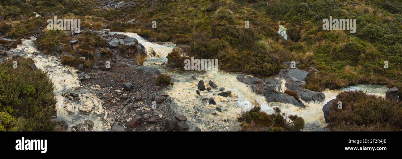 Rapide di Silica nel Parco Nazionale di Tongariro, nella Regione di Manawatu-Wanganui, sull'Isola del Nord Della Nuova Zelanda Foto Stock