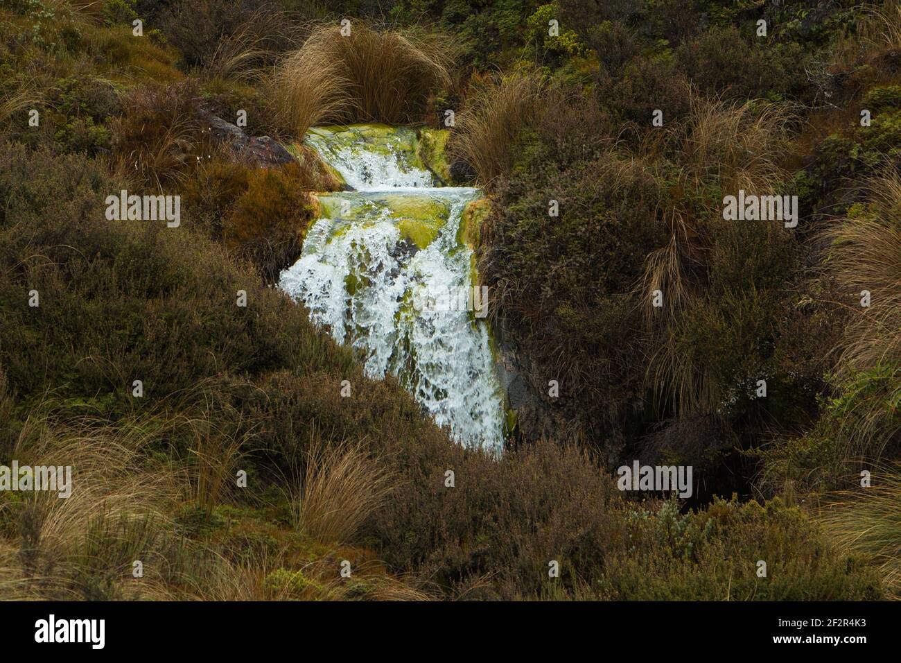 Rapide di Silica nel Parco Nazionale di Tongariro, nella Regione di Manawatu-Wanganui, sull'Isola del Nord Della Nuova Zelanda Foto Stock