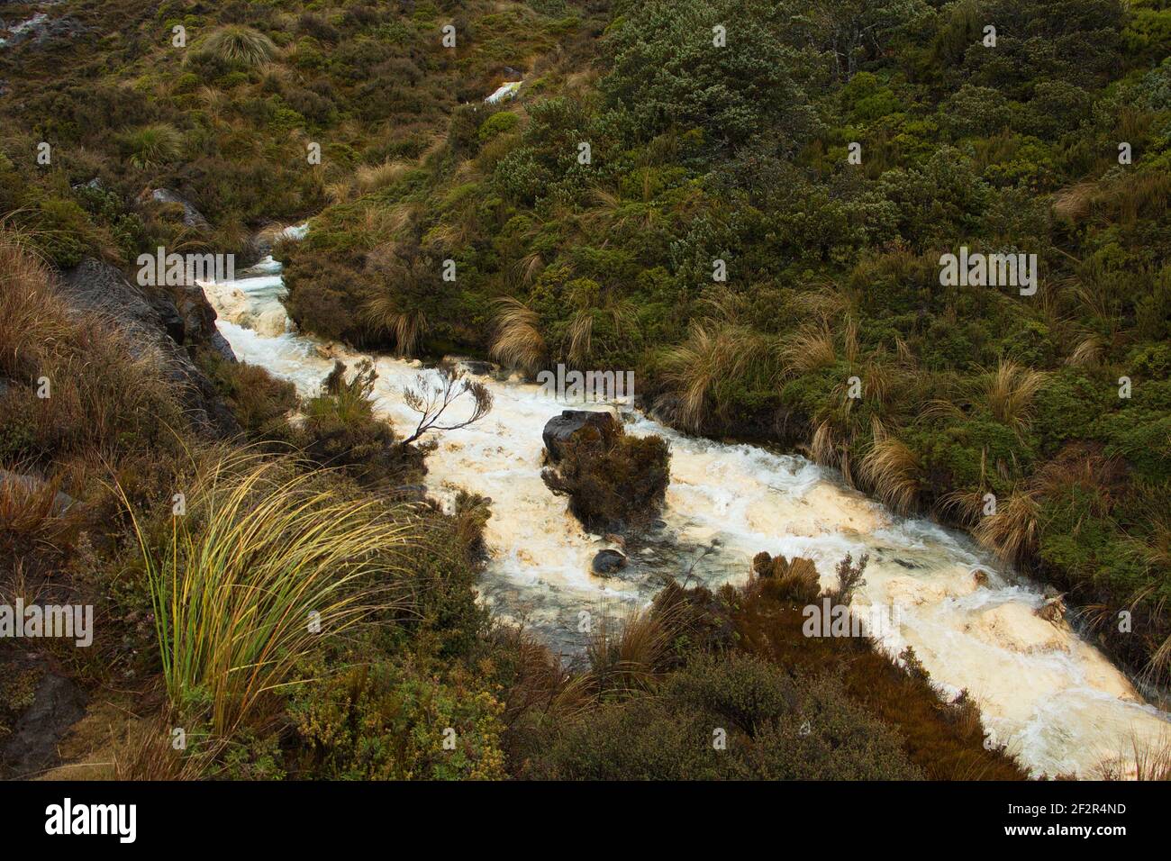 Rapide di Silica nel Parco Nazionale di Tongariro, nella Regione di Manawatu-Wanganui, sull'Isola del Nord Della Nuova Zelanda Foto Stock
