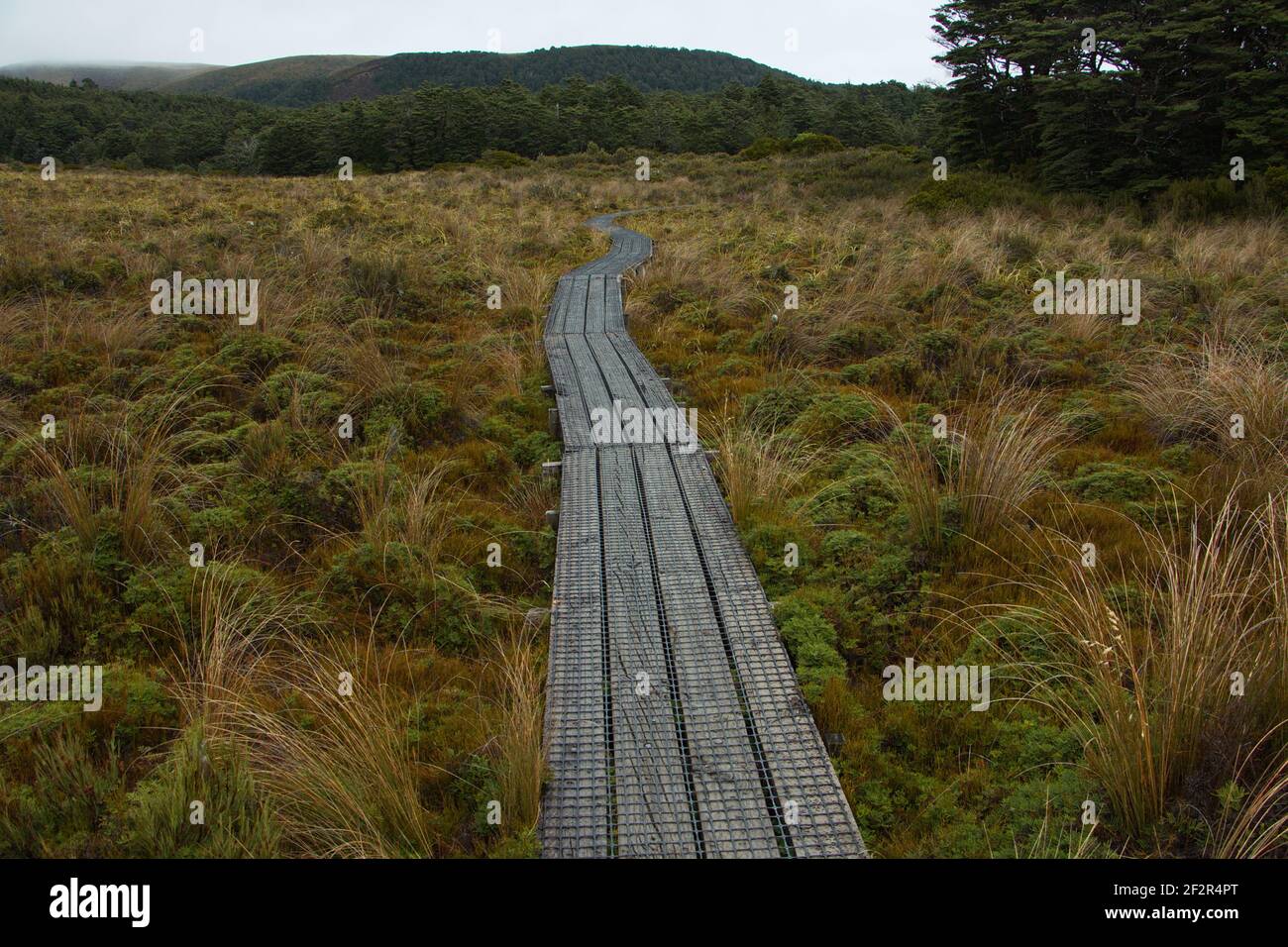 Percorso escursionistico alle rapide di silice nel Parco Nazionale di Tongariro, Regione di Manawatu-Wanganui Sull'Isola del Nord della Nuova Zelanda Foto Stock
