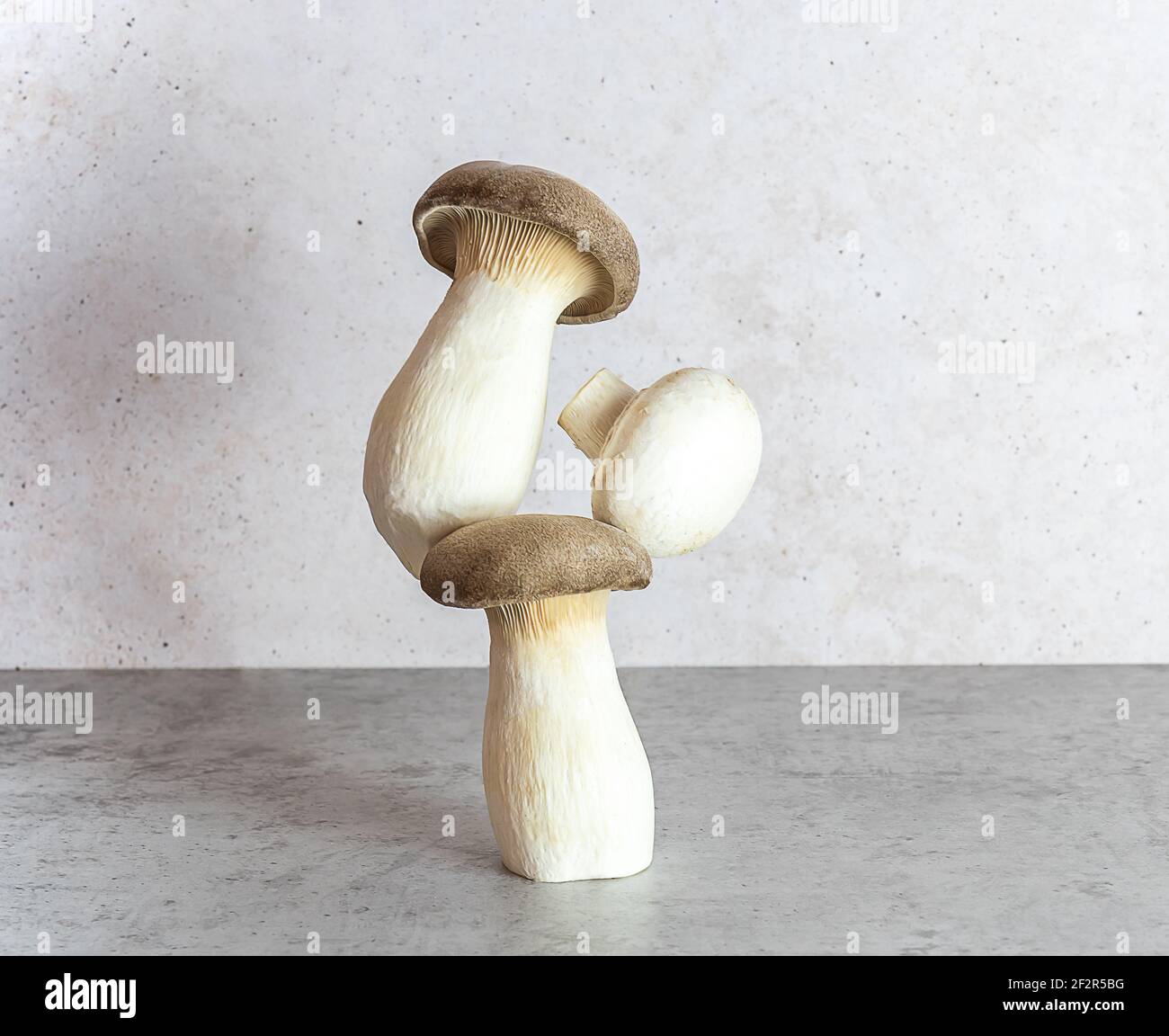 Eringi o il fungo di ostrica del re. Equilibrio fluttuante equilibrio alimentare. Foto Stock