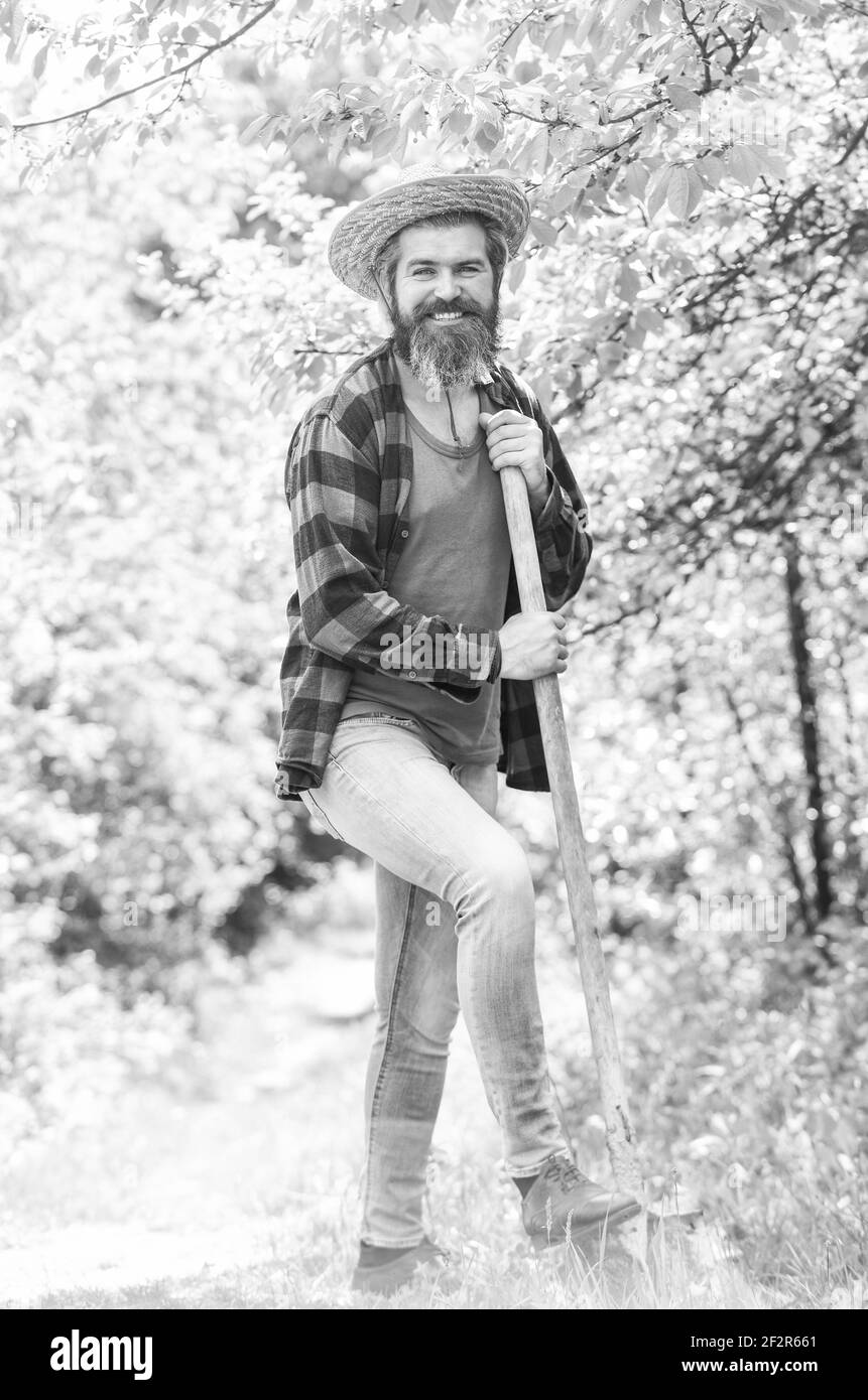 l'uomo scava terreno con pala in metallo. orticoltura concetto. Il suolo sta preparando per piantare nella molla. Lavorate in un giardino. Bella giornata primaverile. Piantare Foto Stock