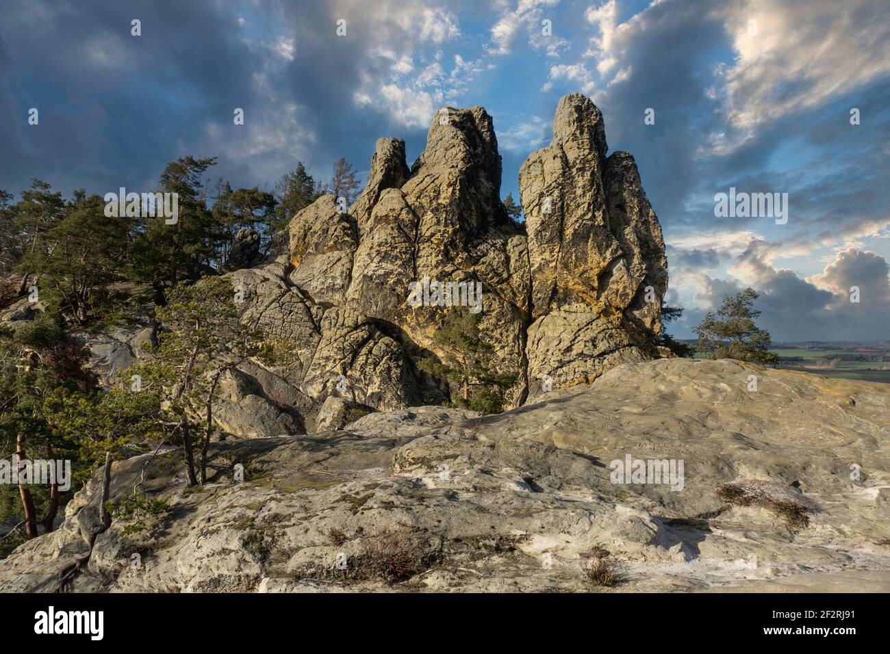 Teufelsmauer, Muro del Diavolo, formazione rocciosa nelle montagne di Harz, Sassonia-Anhalt, Germania centrale. Il rock è chiamato Hamburger Wappen. Foto Stock