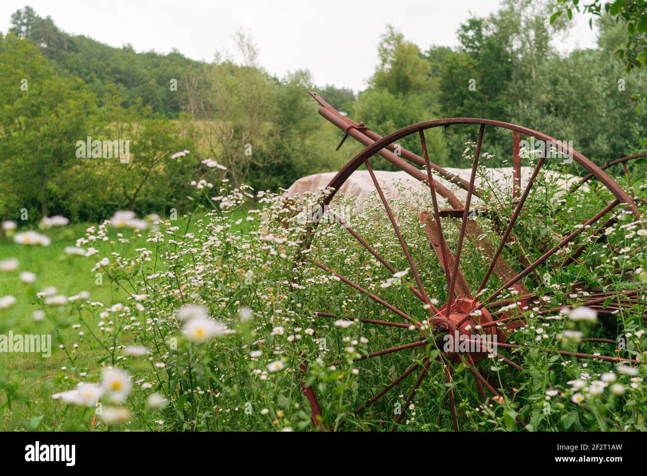 Vecchie attrezzature agricole rustiche abbandonate in un campo pieno di margherite. Foto Stock