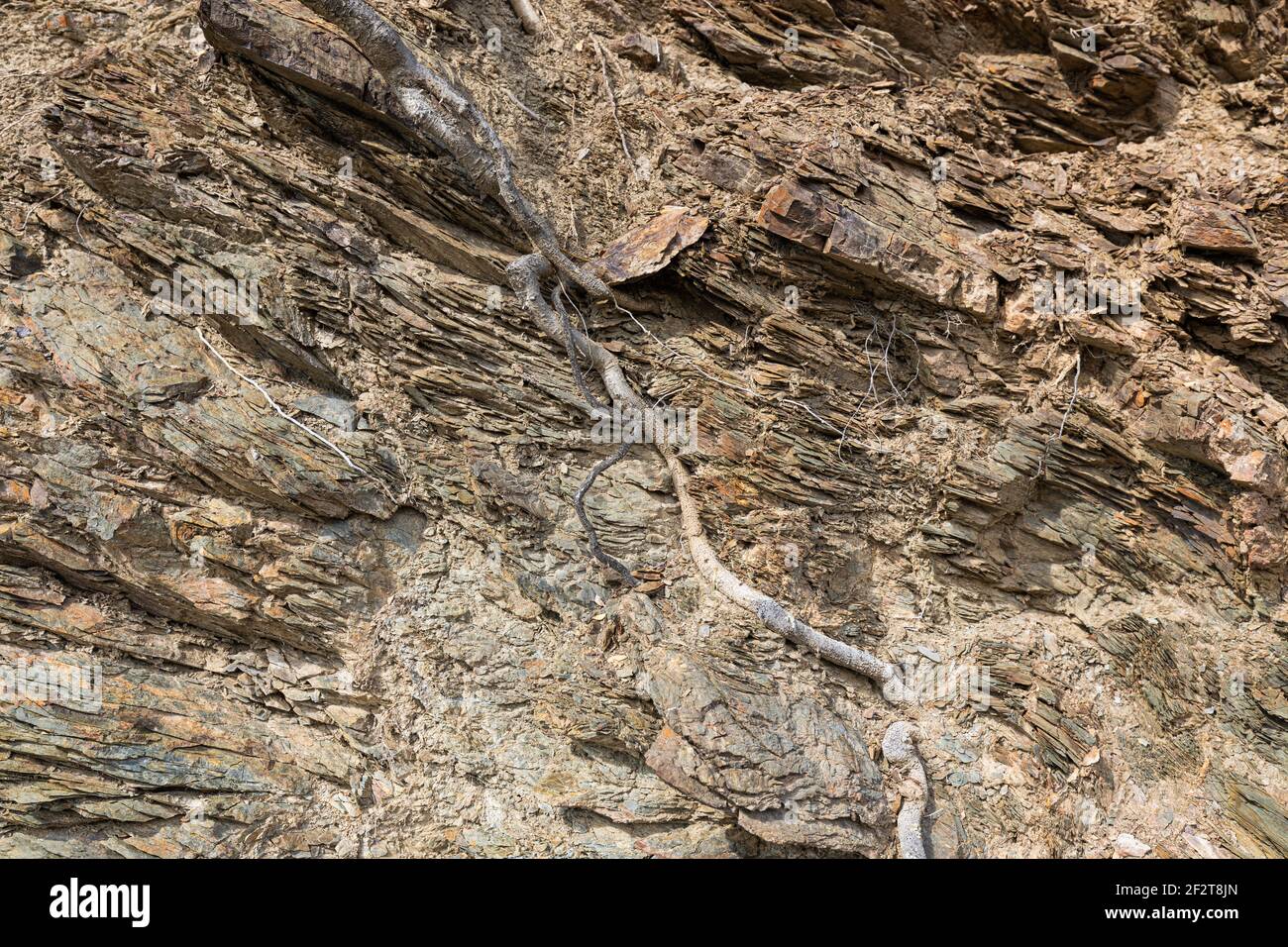 Struttura naturale in pietra vulcanica. Texture rock e sfondo. Foto Stock