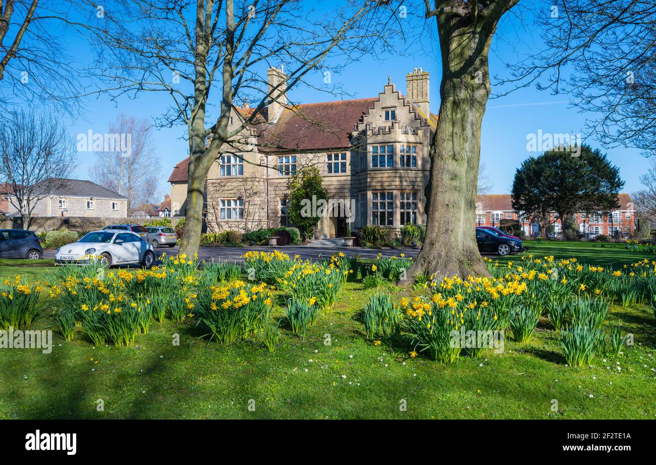 Hargreaves Management Ltd. Presso la Rustington House di Rustington, West Sussex, Inghilterra, Regno Unito. Preso in primavera con narcisi nel giardino anteriore. Foto Stock