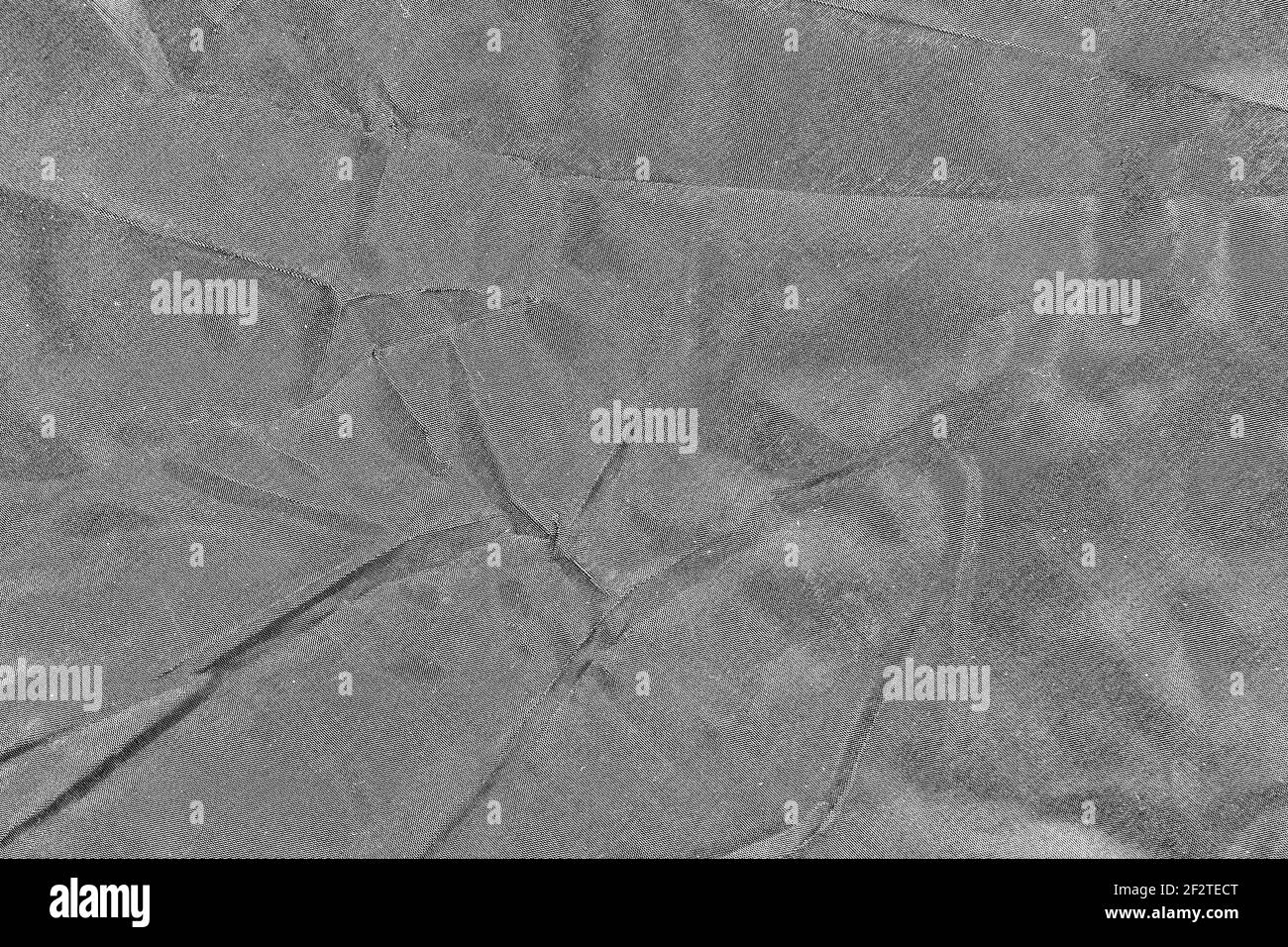 astratto sfondo grigio imballo sminuzzato Foto Stock
