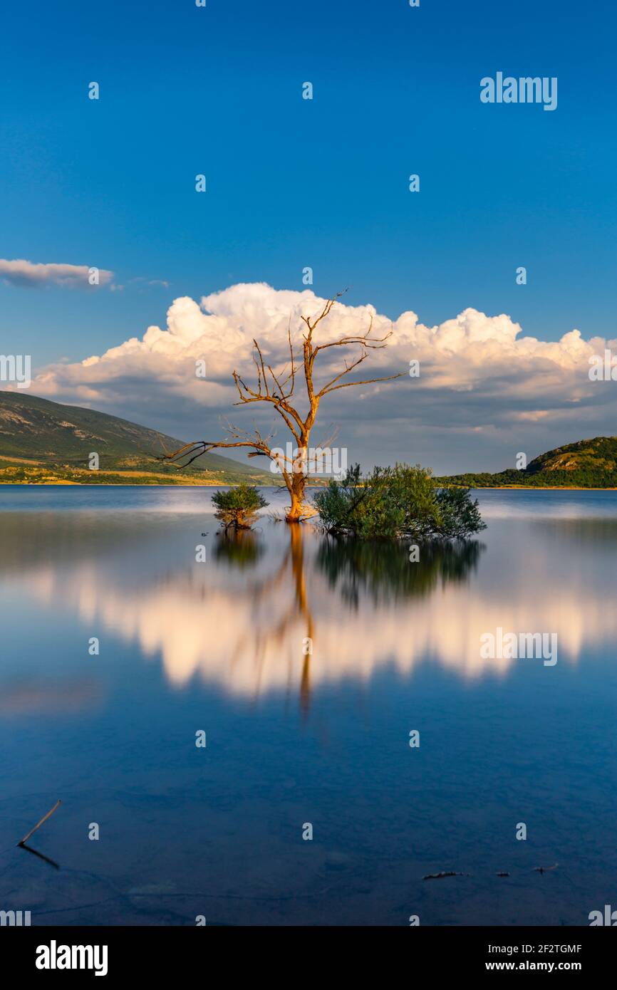 Serenità specchio sereno riflessione sul lago Peruca Perucco jezero in Croazia Europa solo albero e cespuglio in centro caldo come luce dorata nel tardo pomeriggio Foto Stock