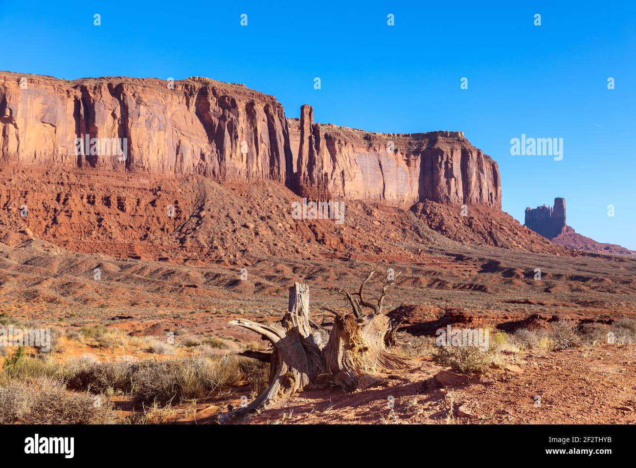 Vista della Monument Valley nel taime dell'alba al confine tra Arizona e Utah, Stati Uniti Foto Stock