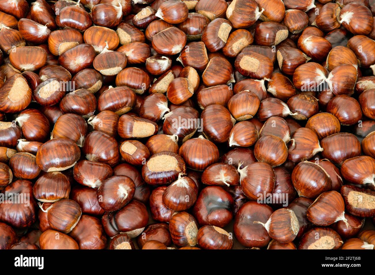 Sfondo di castagno dolce per uno sfondo creativo (messa a fuoco impilabile) Foto Stock