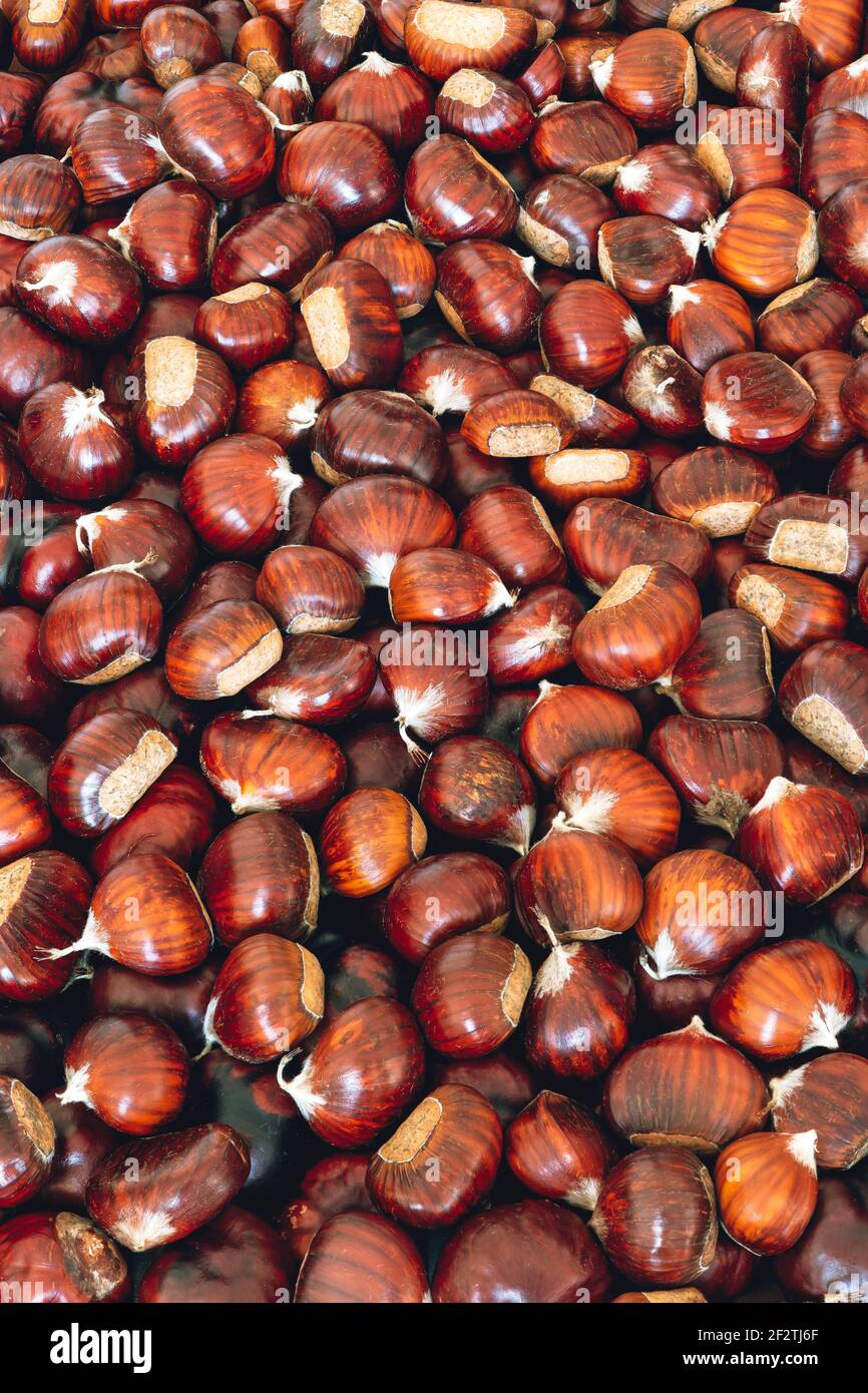 Sfondo castagno dolce per sfondo creativo (foto verticale, messa a fuoco impilabile) Foto Stock