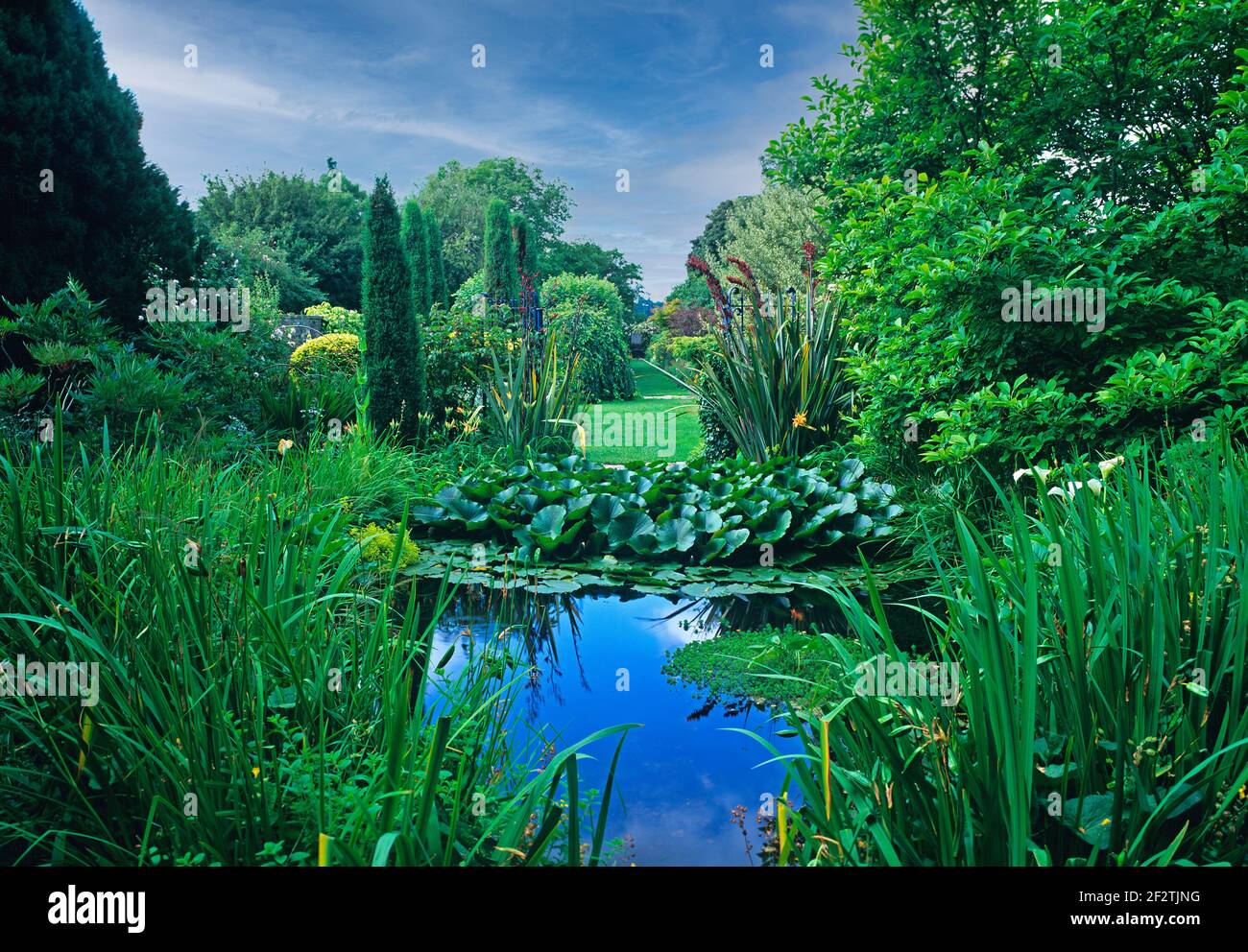 Giardino d'acqua e vista giardino in una casa di campagna Foto Stock