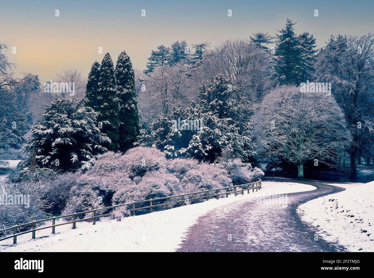 Una scena invernale nel cotryside inglese con un albero coperto di neve Foto Stock