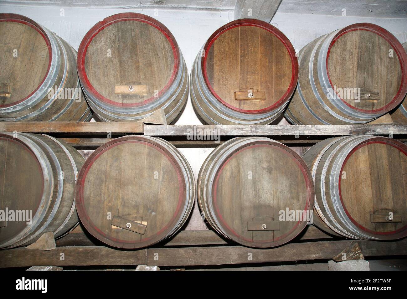 Botti di rovere in cui il vino matura in una cantina Foto Stock