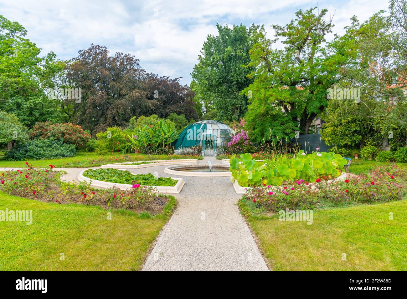 Piante fiorenti nel giardino botanico a Zagabria, Croazia Foto Stock
