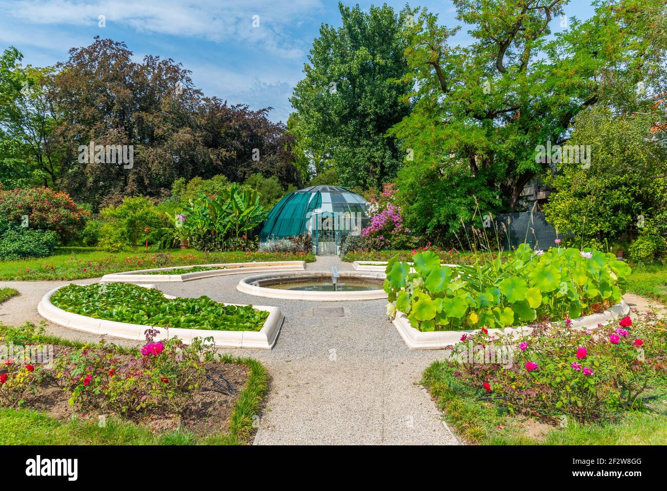 Piante fiorenti nel giardino botanico a Zagabria, Croazia Foto Stock