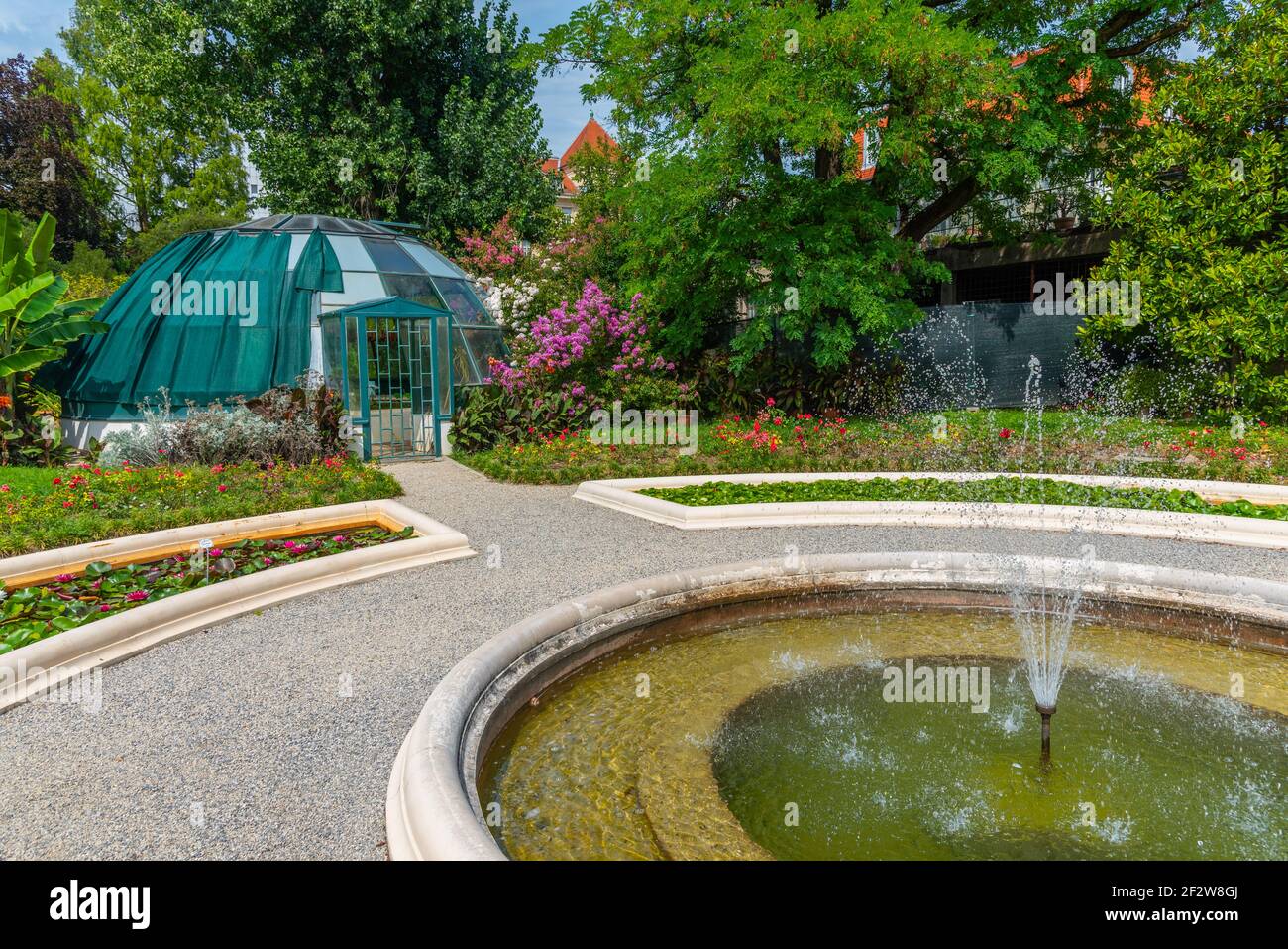 Piante fiorenti nel giardino botanico a Zagabria, Croazia Foto Stock