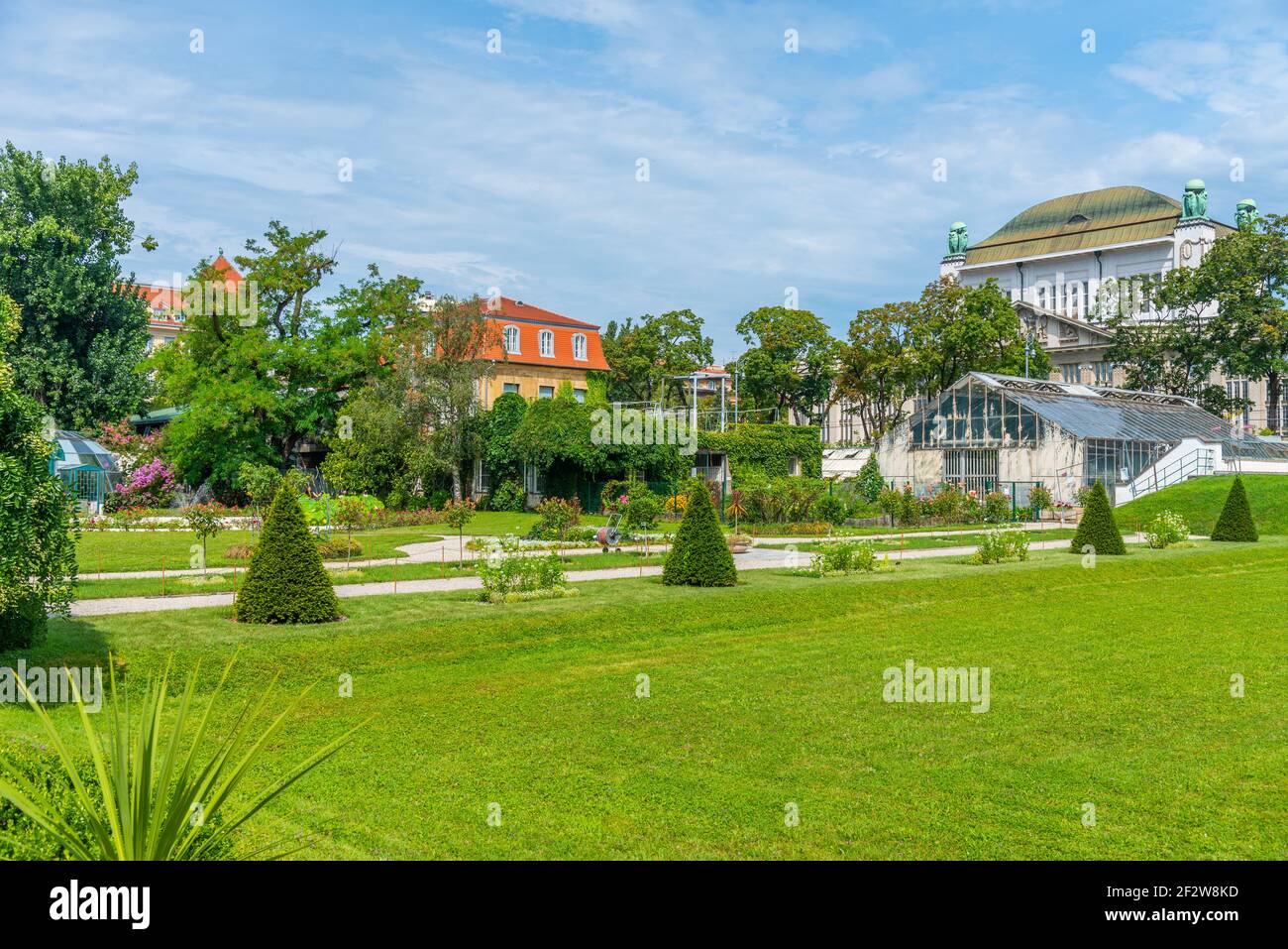 Piante fiorenti nel giardino botanico a Zagabria, Croazia Foto Stock