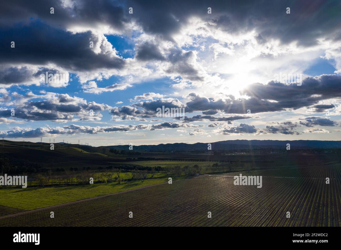 La luce del sole passa attraverso le nuvole basse e illumina un vigneto a Livermore, California. Alcuni dei migliori vigneti del mondo esistono in questa regione. Foto Stock
