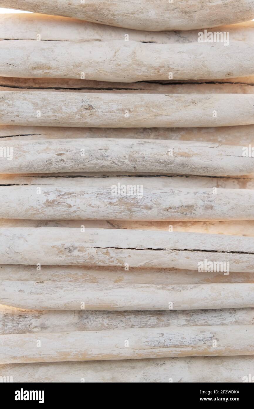 Driftwood. Riga di mare bianco snags.White driftwood close-up texture.Wooden natura beige sfondo. Foto Stock