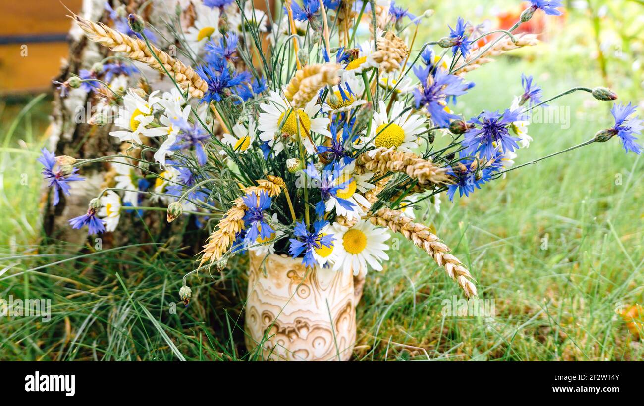 Fiori di mais, camomilla e spighe di grano in un mazzo semplice e carino  per uno sfondo rustico. Un bouquet di fiori selvatici si trova in un vaso di  ceramica fatto a