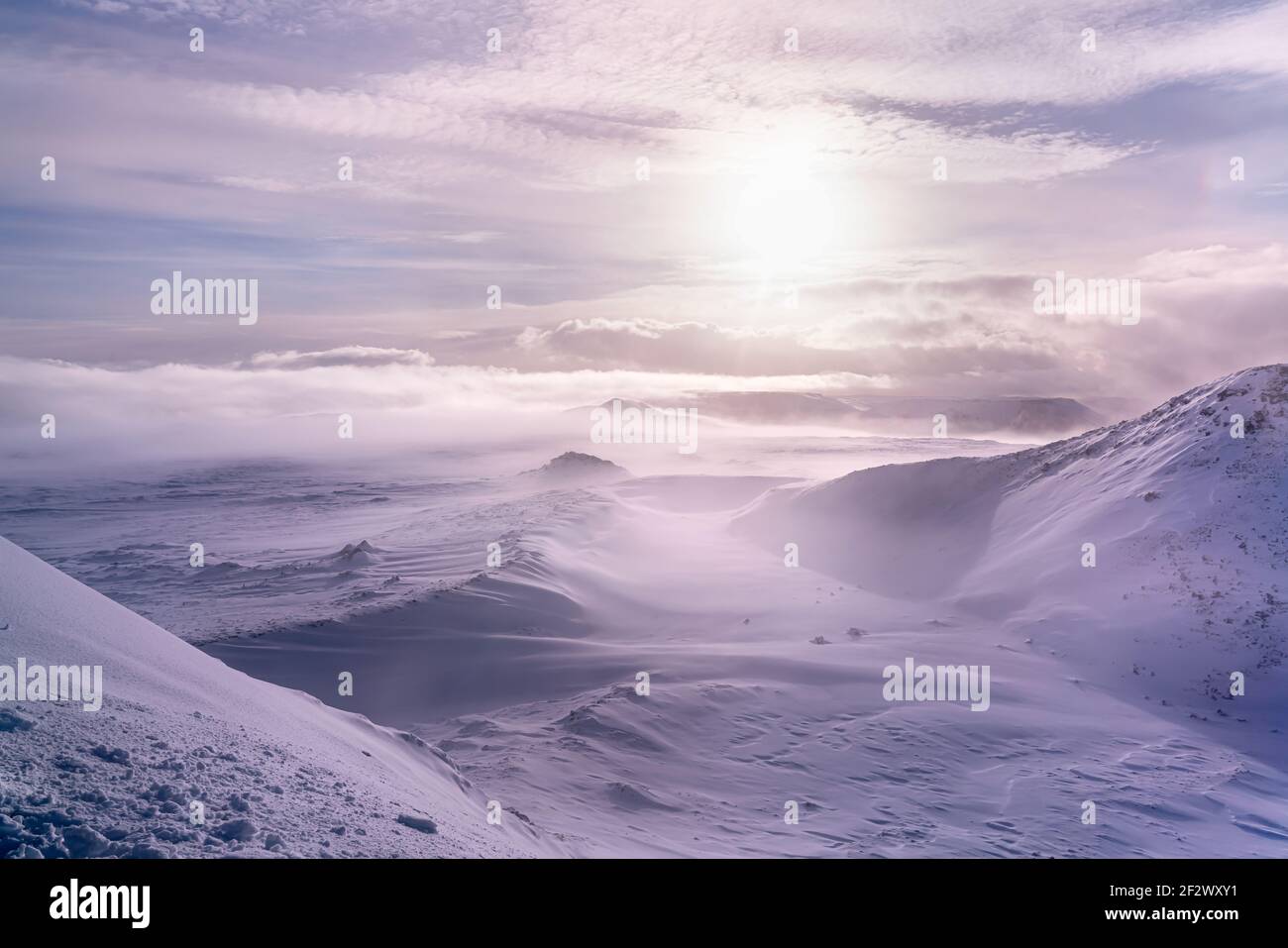 Ampia distesa di un paesaggio artico nevoso. Nessun albero, gente, o vita. Neve per quanto l'occhio può vedere. Scatto effettuato durante il tramonto al crepuscolo girando l'sno Foto Stock