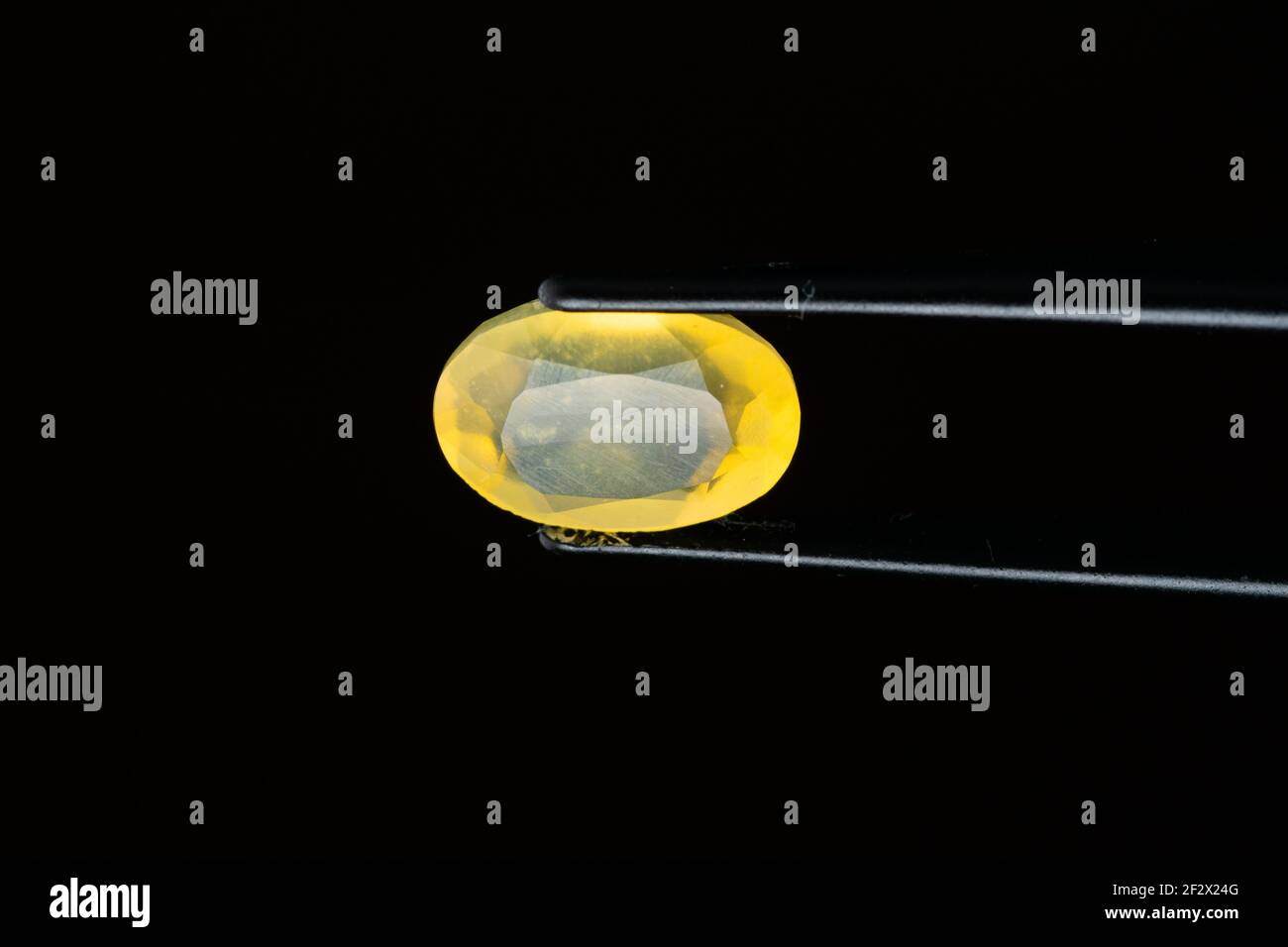 Opale giallo in pinzette su sfondo nero Foto Stock