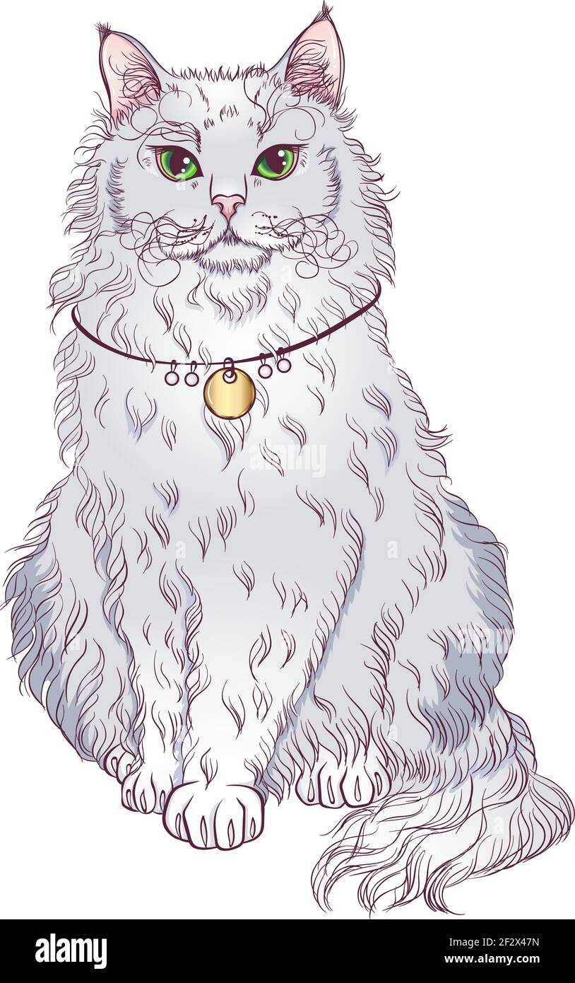 Seduto la Perm gatto razza Illustrazione Vettoriale