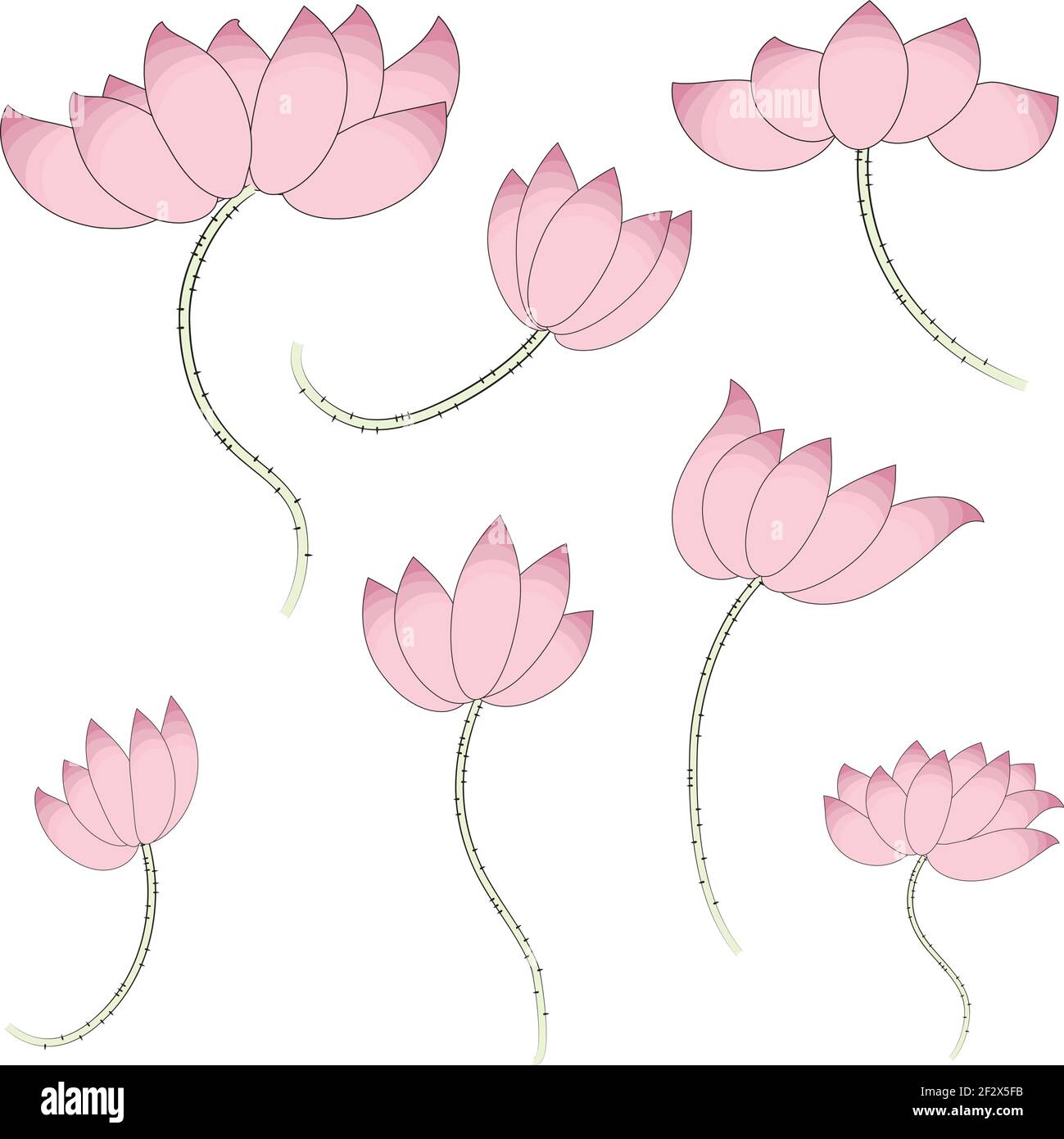 lotus design sdet Illustrazione Vettoriale