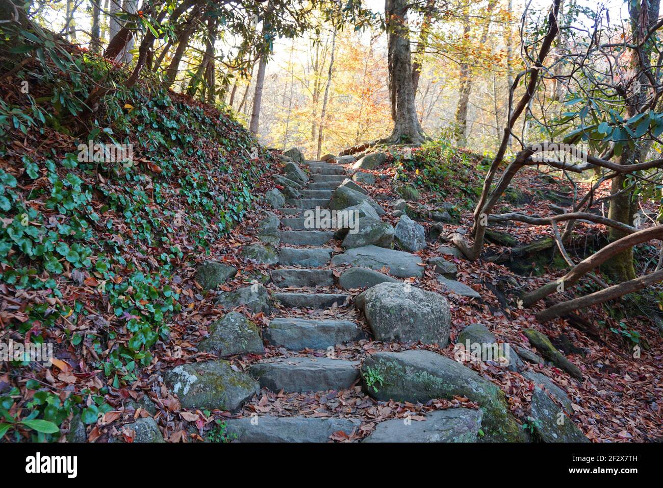 Scala in pietra nel parco nazionale delle montagne Smokey Foto Stock