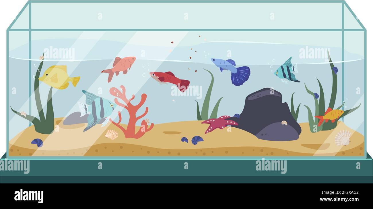 Diversi pesci colorati nell'acquario Illustrazione Vettoriale