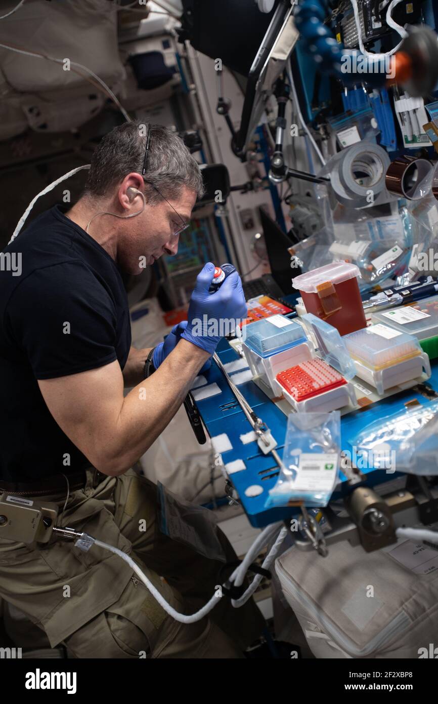 L'astronauta e spedizione della NASA 64 l'ingegnere di volo Michael Hopkins carica le piastre di cristallografia proteica con soluzioni proteiche per l'esperimento di fase II di crescita in tempo reale di cristalli proteici a bordo della International Space Station 2 marzo 2021in Earth Orbit. Foto Stock