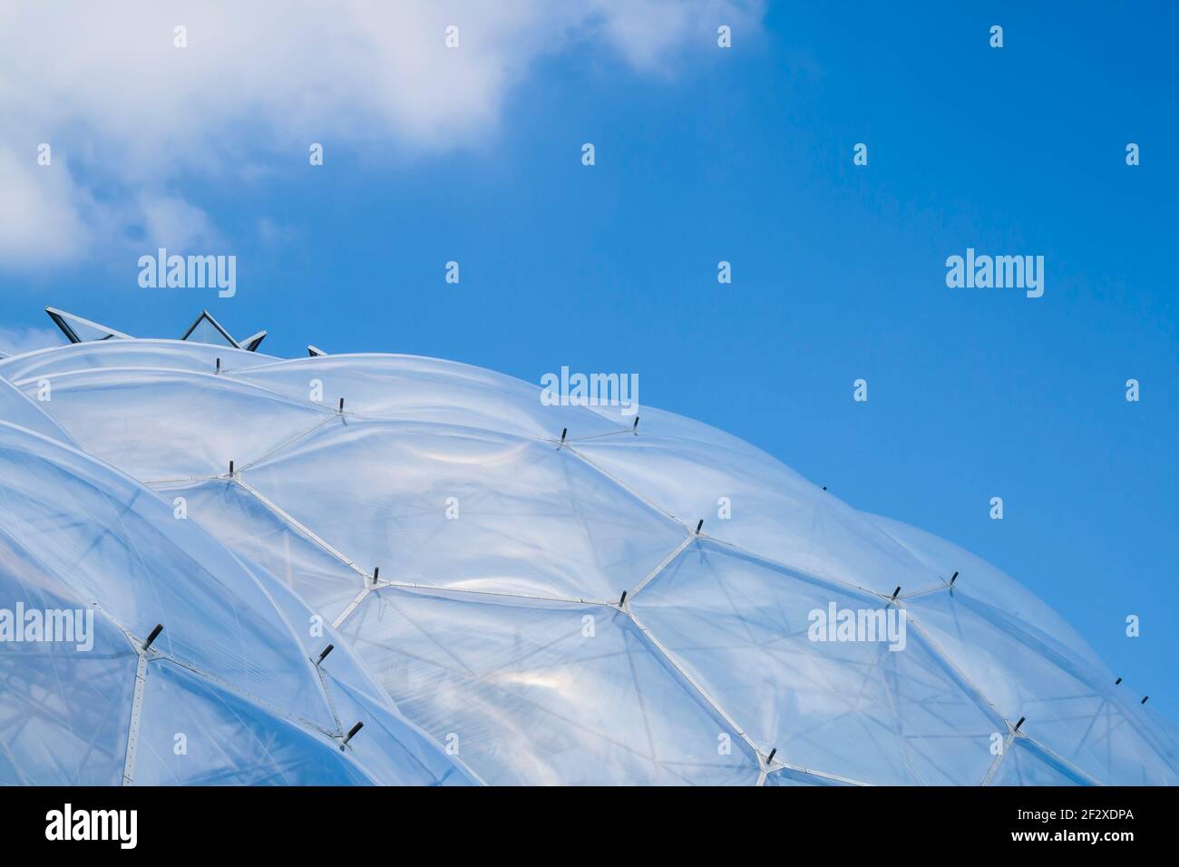 Immagine ravvicinata di una delle cupole delle biomes all'Eden Project in Cornovaglia, Inghilterra Foto Stock