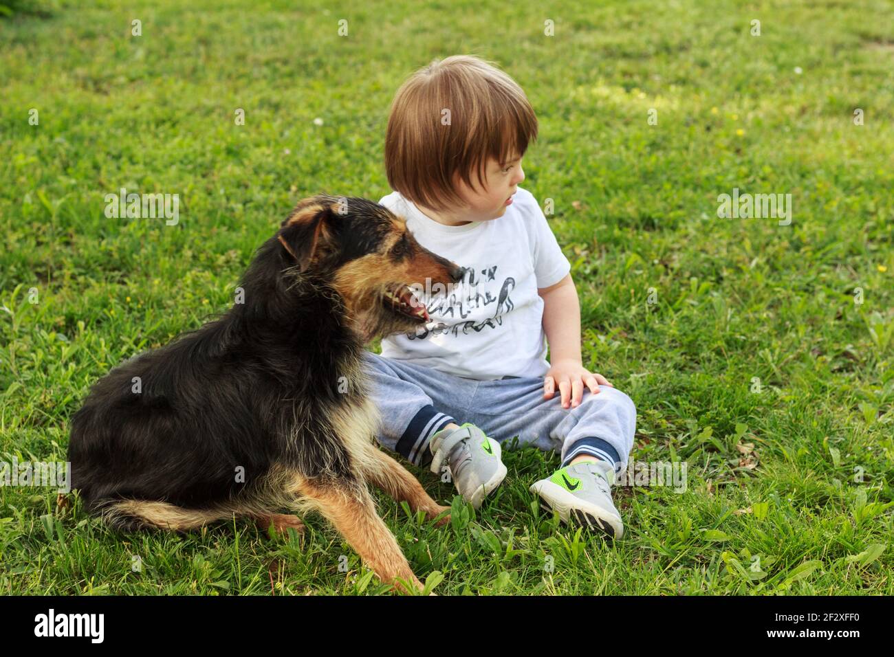 Bambino piccolo toddler con il bambino della sindrome giù, giocando con il cane piccolo del puppy misto della corsa in giardino Foto Stock