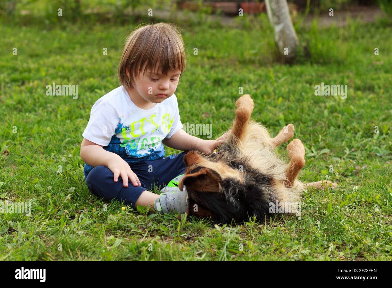 ragazzo carino con syndorme giù giocando con il suo cane. Migliori amici, concetto. Foto Stock