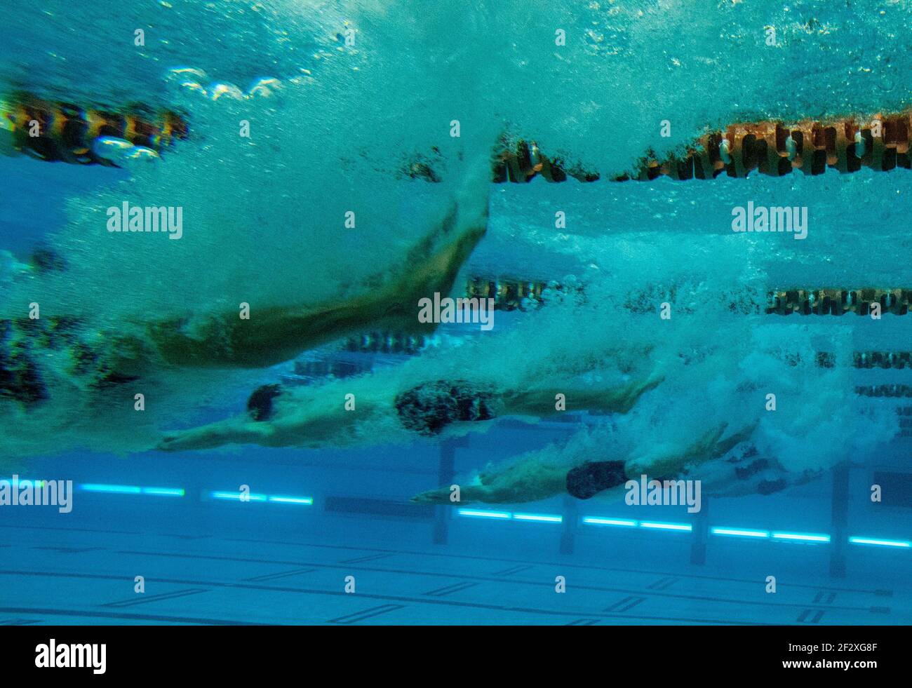 I nuotatori si tuffano in una piscina per una corsa durante un incontro di nuoto. Foto Stock