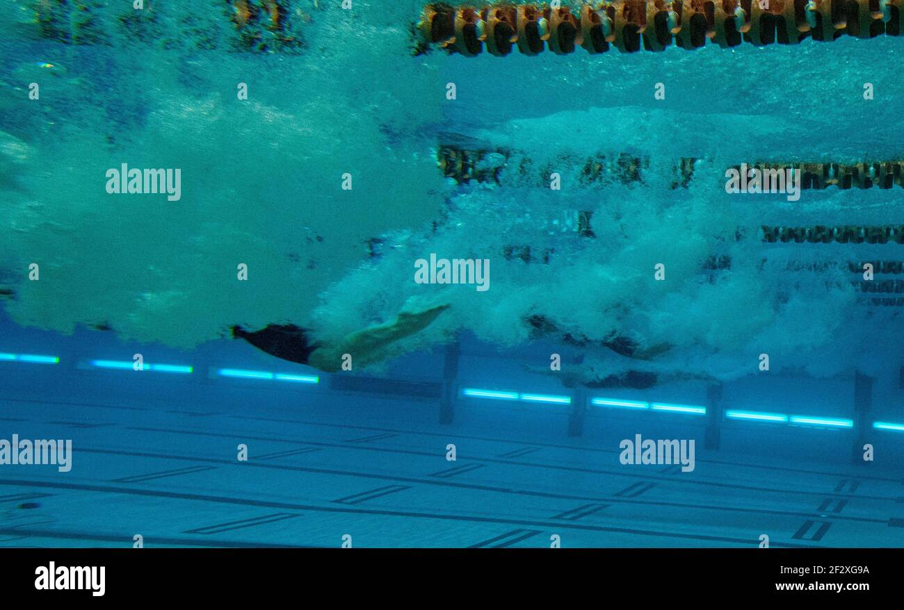 I nuotatori si tuffano in una piscina per una corsa durante un incontro di nuoto. Foto Stock