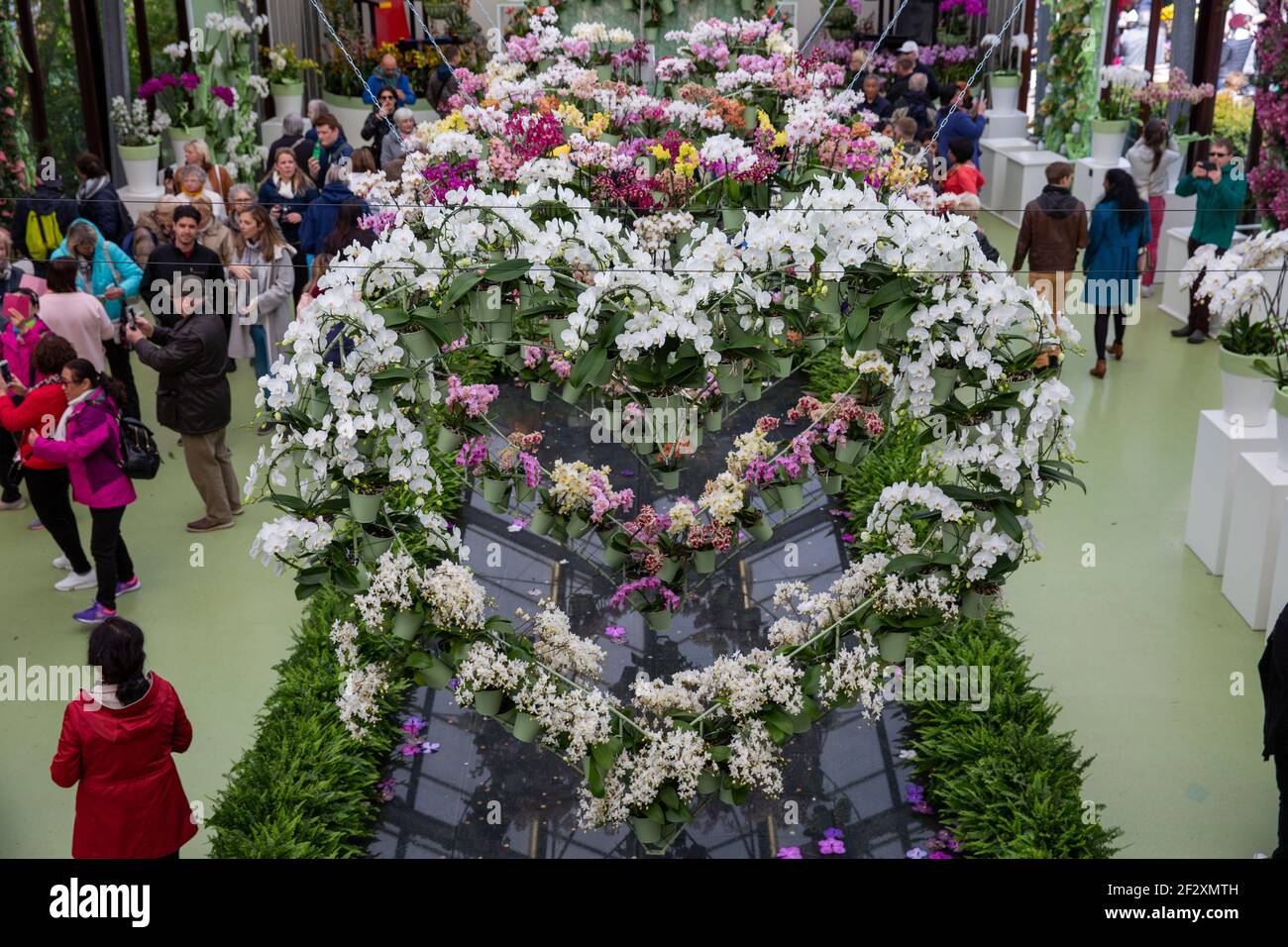 I visitatori si godono la bella mostra a forma di cuore di fiori di orchidee colorate nel padiglione delle mostre nei Giardini Keukenhof, Lisse, Olanda. Foto Stock