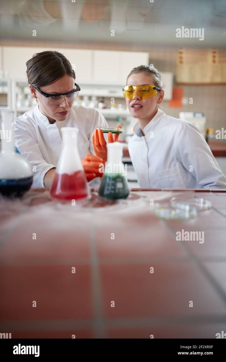 Giovani studentesse di chimica in un'atmosfera di lavoro nel laboratorio universitario che fanno un esperimento con sostanze chimiche. Scienza, chimica, laboratorio, peop Foto Stock