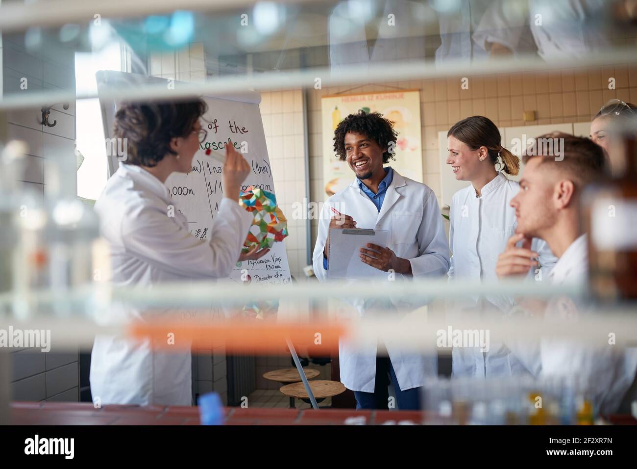 Giovani studenti di sostanze chimiche allegre si tengono una lezione nel laboratorio universitario in un'atmosfera di lavoro. Scienza, chimica, laboratorio, persone Foto Stock