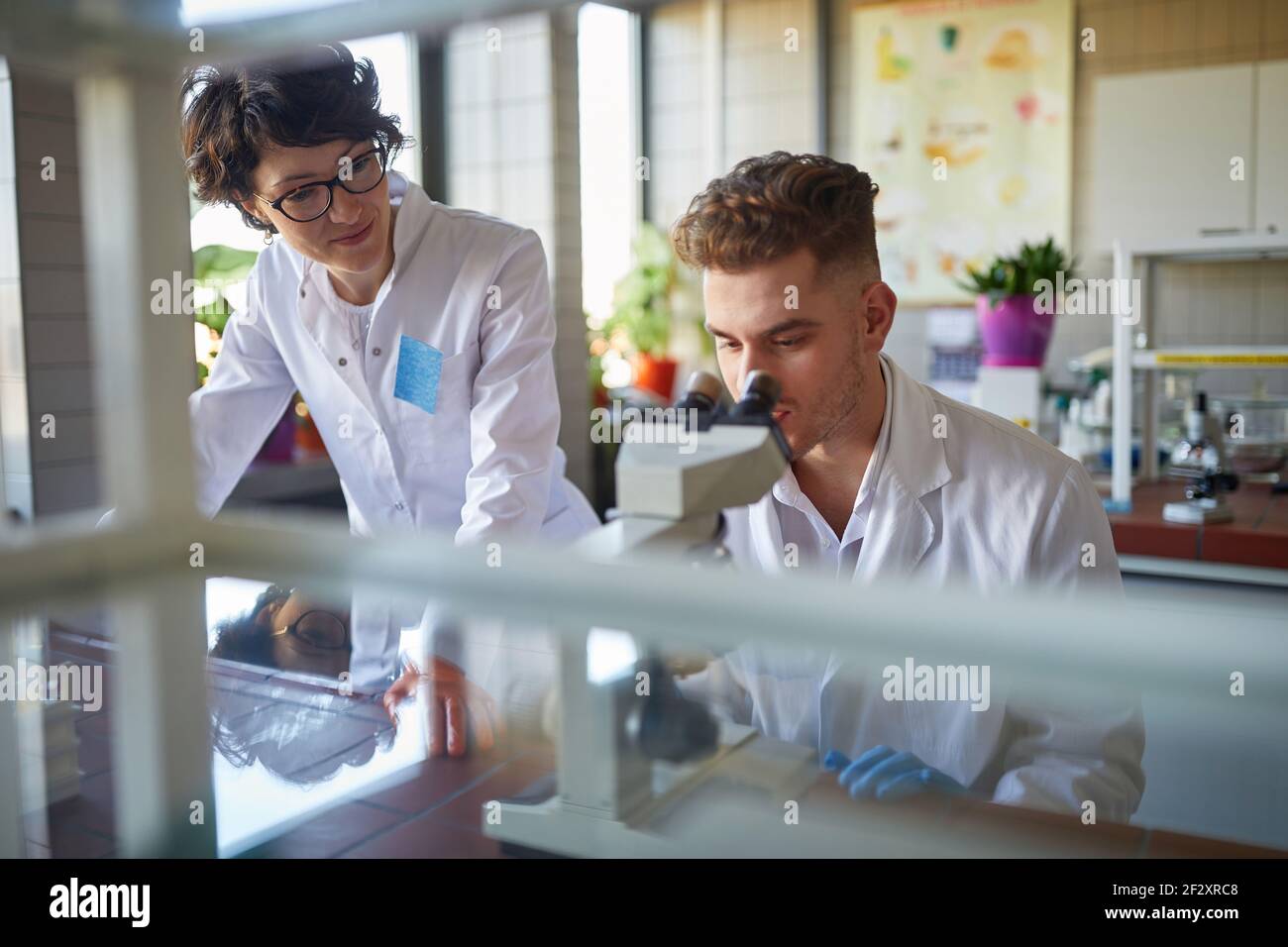 Due professionisti laboranti che analizzano insieme i campioni in laboratorio Foto Stock
