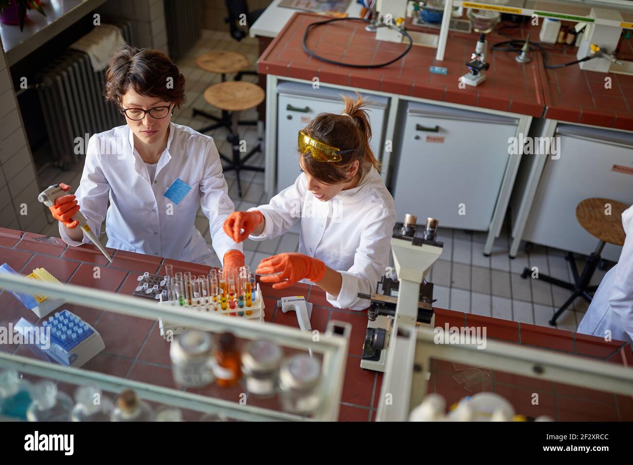 Due donne laboranti preparano campioni per l'analisi Foto Stock