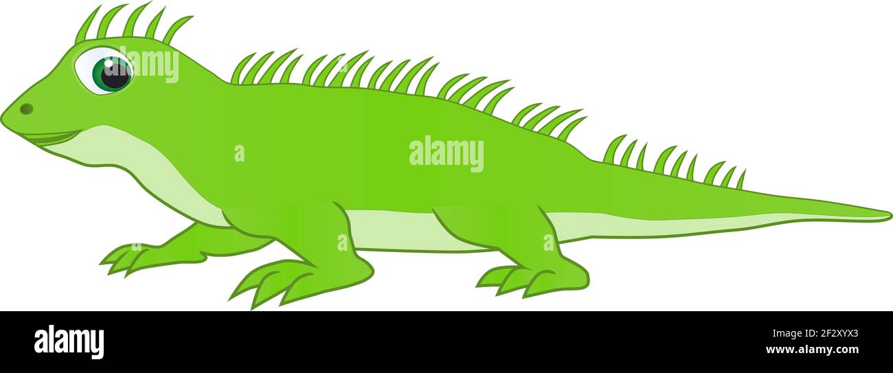 Un iguana verde sorridente aspetta che il suo amico giochi in una giornata di sole Foto Stock