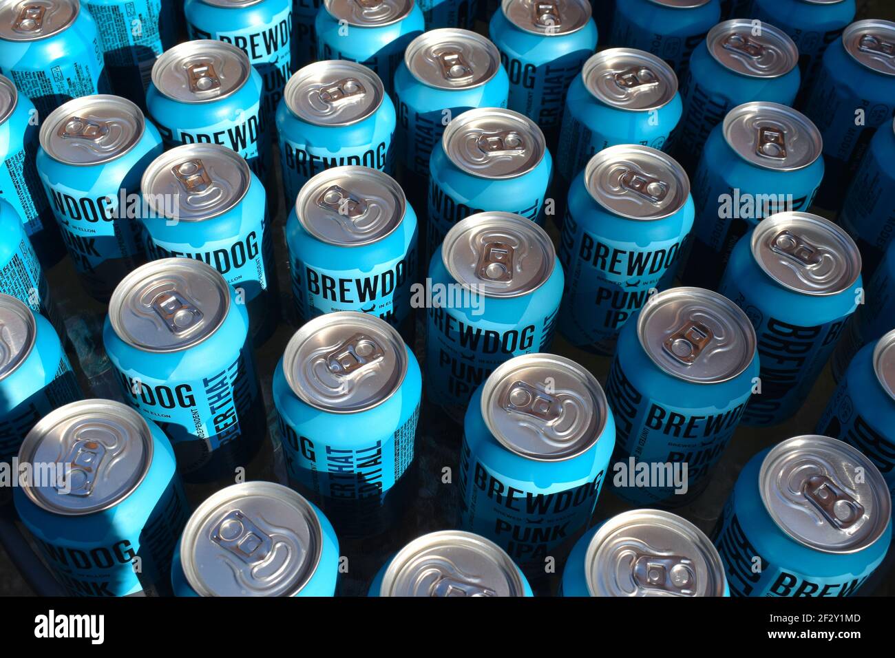 Il Punk IPA è un'oro chiaro, sovvertito con luppolo americano per creare un sapore esplosivo. E 'fruttato floreale agrumi piney ed è tutto circa amarezza aroma. Foto Stock