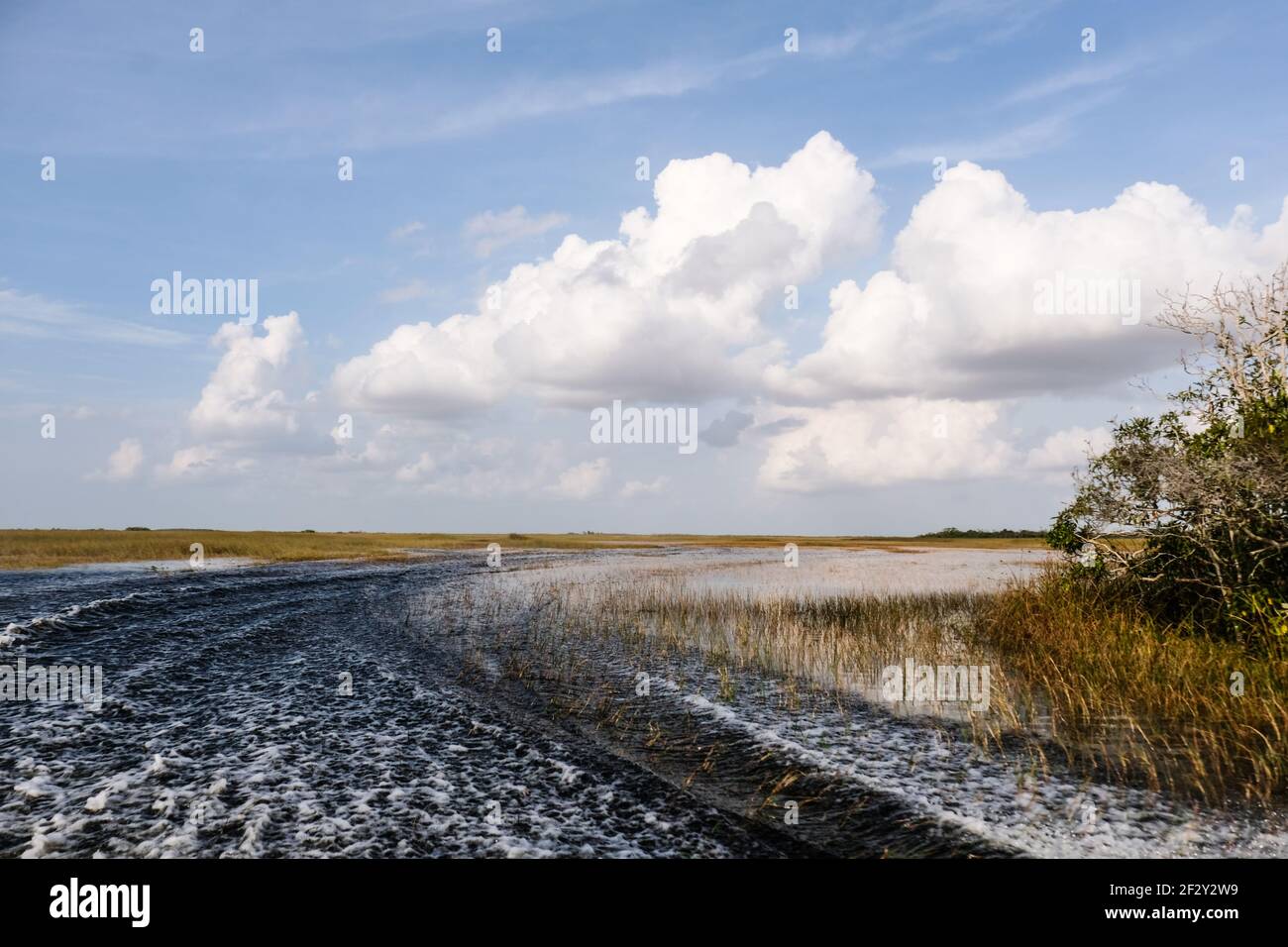 Onde in barca nelle Everglades con alte nuvole bianche e soleggiate cielo blu Foto Stock