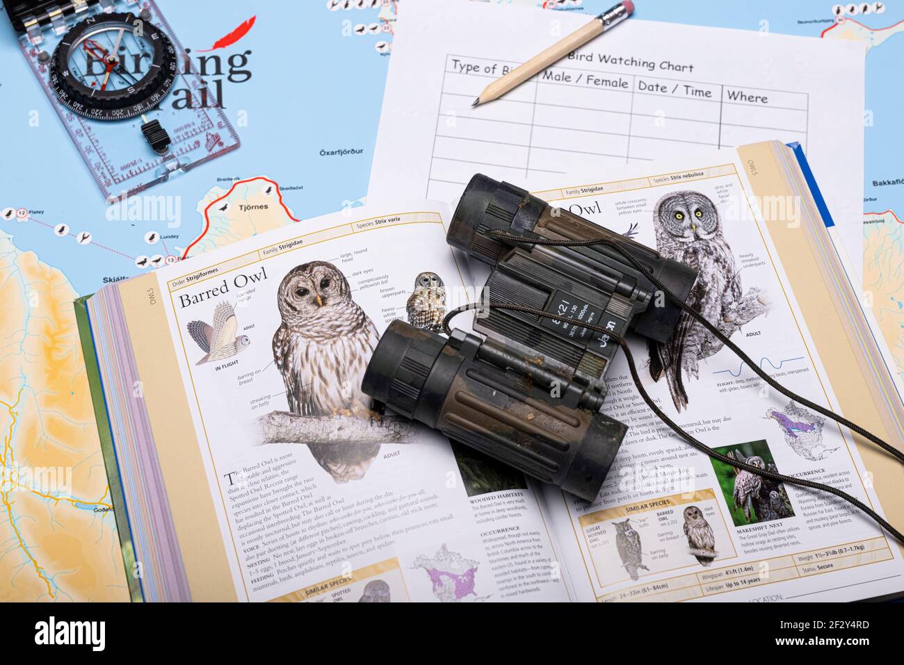 Bird Watching Foto Stock