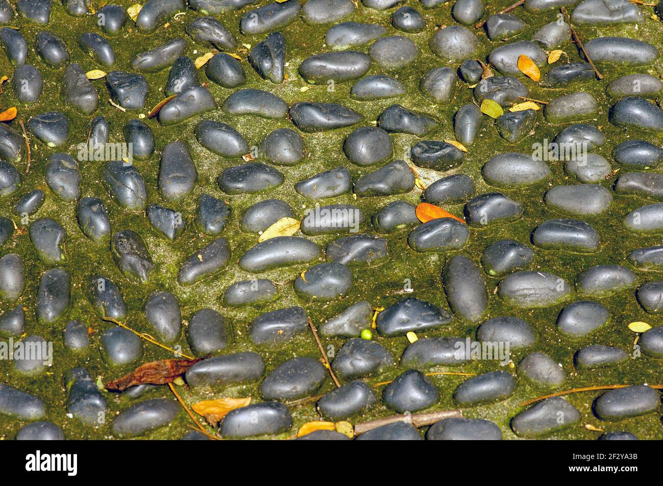 Pietre naturali di rocce vulcaniche per il sentiero nel giardino. Sfondo naturale. Foto Stock