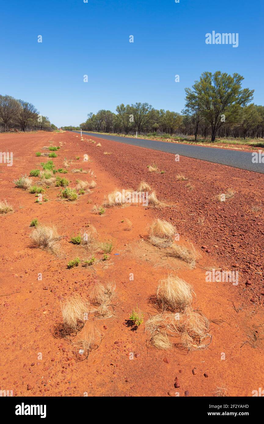 Vista verticale di ciuffi di erba gialla nella polvere rossa nell'Outback lungo la strada Avventura vicino a Cunnamulla, Queensland, QLD, Australia Foto Stock