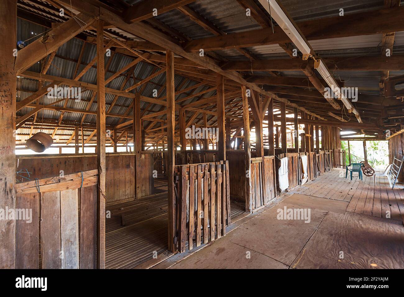 Tosatura vecchia capannone a Charlotte Plains, una vecchia stazione di bestiame e pecore vicino a Cunnamulla, Queensland, QLD, Australia Foto Stock